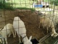 IMG_20260513_081301