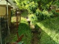 IMG_20260513_081306