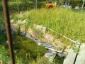 IMG_20260513_081825