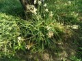 IMG_20260513_161849