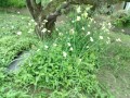 IMG_20260513_161856
