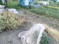IMG_20260513_172953