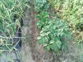 IMG_20260513_175104