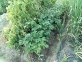 IMG_20260513_175113