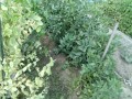 IMG_20260513_181122