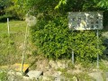 IMG_20260514_080543