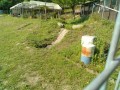 IMG_20260514_080641