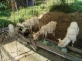 IMG_20260514_080925