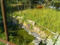 IMG_20260514_081057