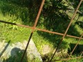 IMG_20260514_081100