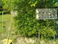 IMG_20260515_084846