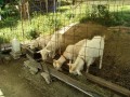 IMG_20260515_085747