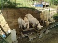 IMG_20260515_085801