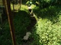 IMG_20260515_085821