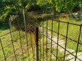 IMG_20260515_085849