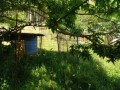 IMG_20260515_085855