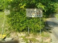 IMG_20260516_081146