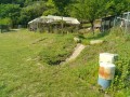 IMG_20260516_081234
