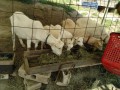 IMG_20260516_081955