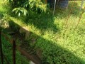 IMG_20260516_082102