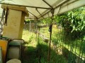 IMG_20260516_082106