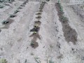 IMG_20260516_102935