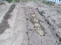 IMG_20260516_102939