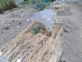 IMG_20260516_102958