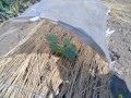 IMG_20260516_103007