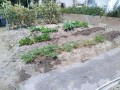 IMG_20260516_103111