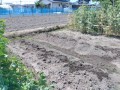 IMG_20260516_103113