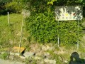 IMG_20260517_071227
