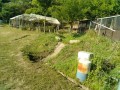 IMG_20260517_071303
