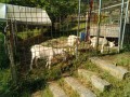 IMG_20260517_071543