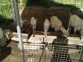 IMG_20260517_072422