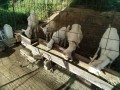 IMG_20260517_072429