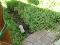 IMG_20260517_072442