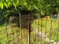 IMG_20260517_072526