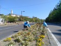 IMG_20260517_081936