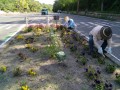 IMG_20260517_082043