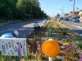 IMG_20260517_082106