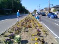 IMG_20260517_082135