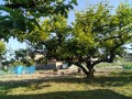 IMG_20260517_164753