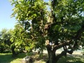 IMG_20260517_164756