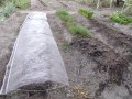 IMG_20260517_174520