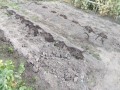 IMG_20260517_174546