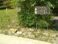 IMG_20260518_085315