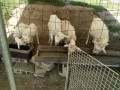 IMG_20260518_090526