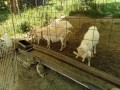 IMG_20260518_090537