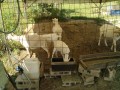 IMG_20260518_090549